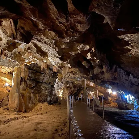 The Fox By Interhome Alpehytte Zlobin