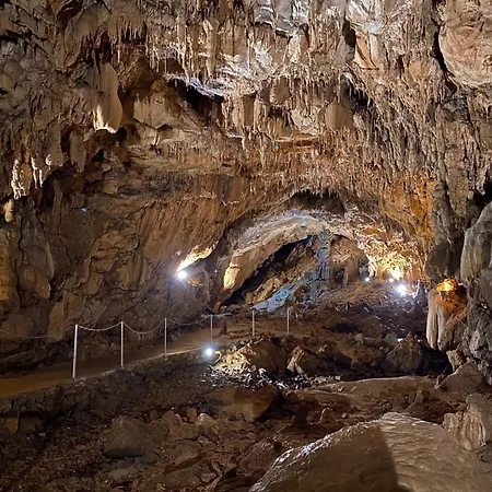 Alpehytte The Fox By Interhome Zlobin